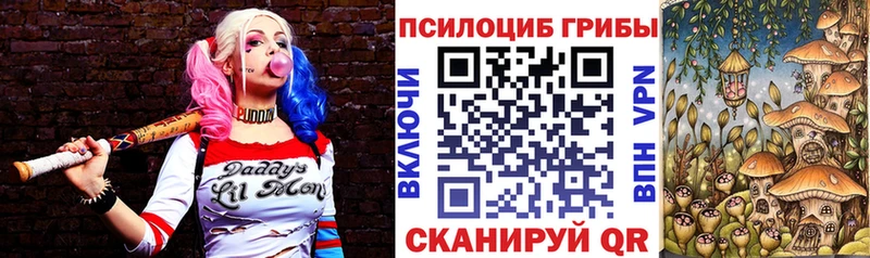 Галлюциногенные грибы Cubensis  Купить где  Красавино 